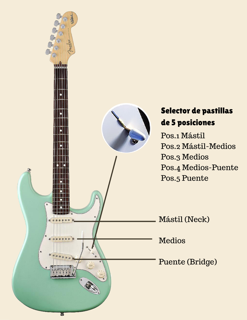 insertar Estrecho Departamento Las Pastillas de Guitarra Eléctrica | Chachi Guitar